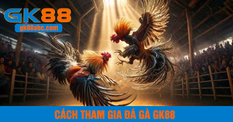 Cách tham gia đá gà GK88